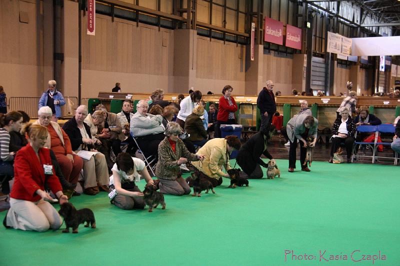 Crufts2011_2 513.jpg